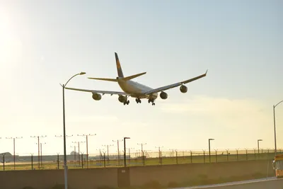 DSC_5755 (Large).JPG